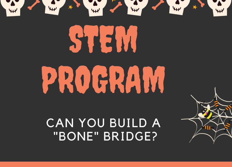 Bone Bridge STEM Program